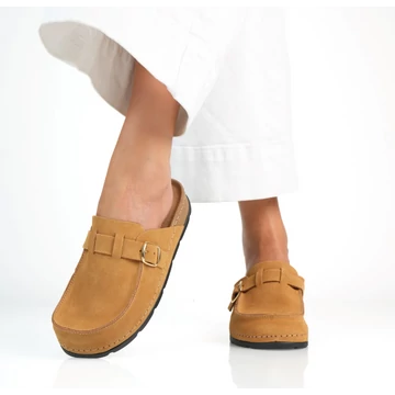 Batz Fiorella (camel)
